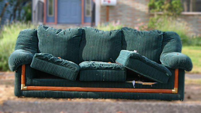 Couch Remnants A Deadly Reminder Of Feline Destruction
