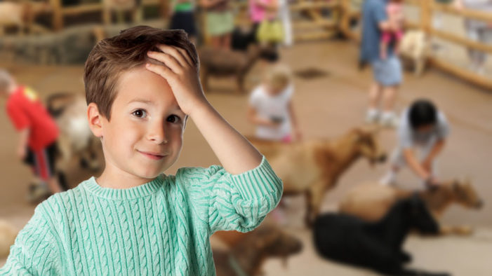 5-Year-Old Can’t Make Up His God Damn Mind About Which Goat to Pet